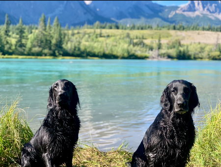 Rudy & Chase 
