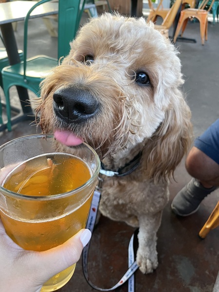 Murphy