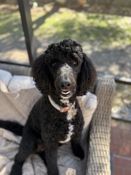 Benny