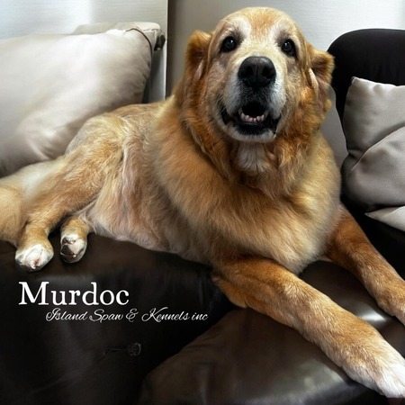 Murdoc