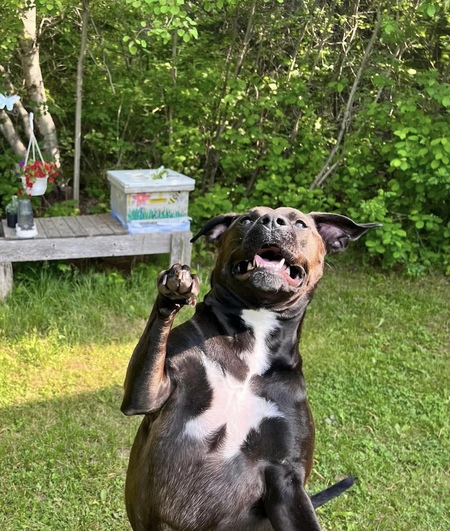 LUNA