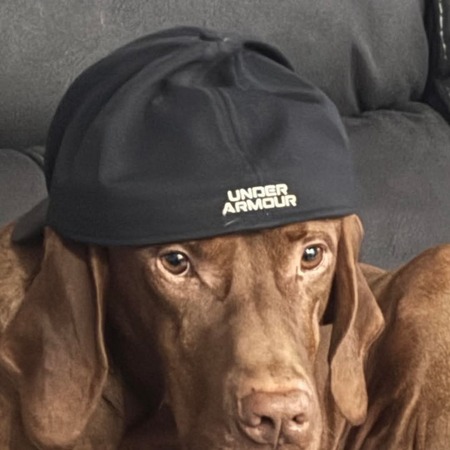 Murphy 