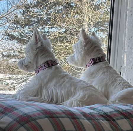 Gabbi and Ry-lee