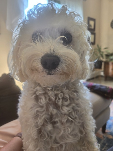 Nellie