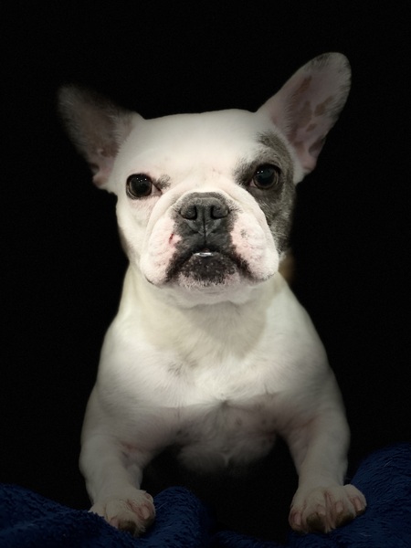 Winnie