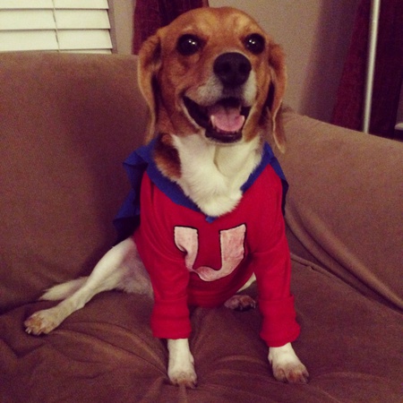 Bailey 