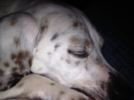 Macy
