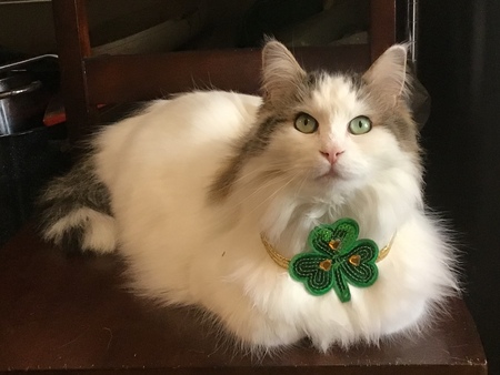 Elvis