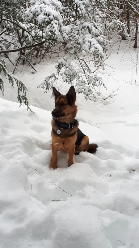 Buckley