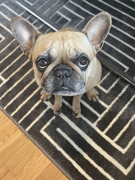 Mia