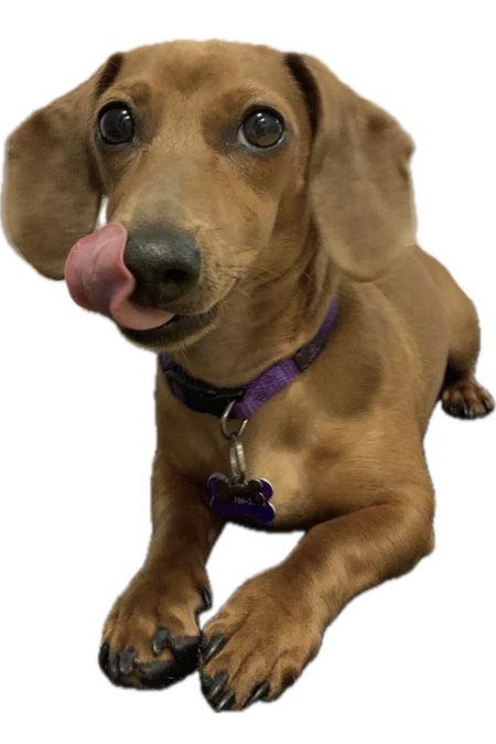 Penelope 