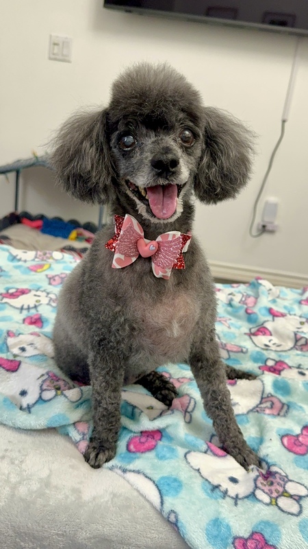 Pepper