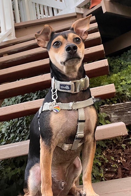 Axel