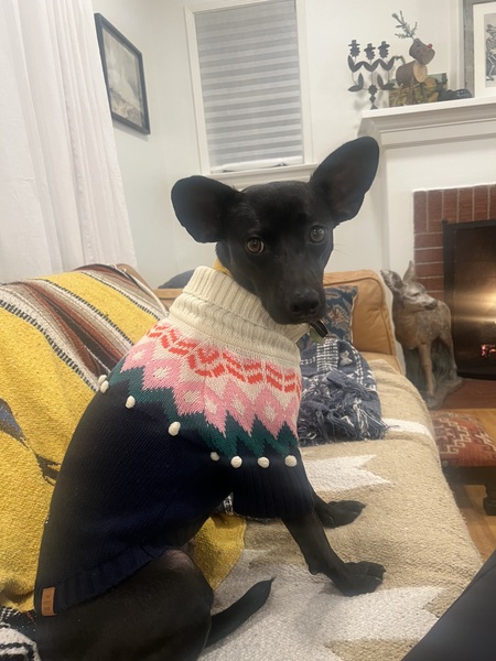 Elsie