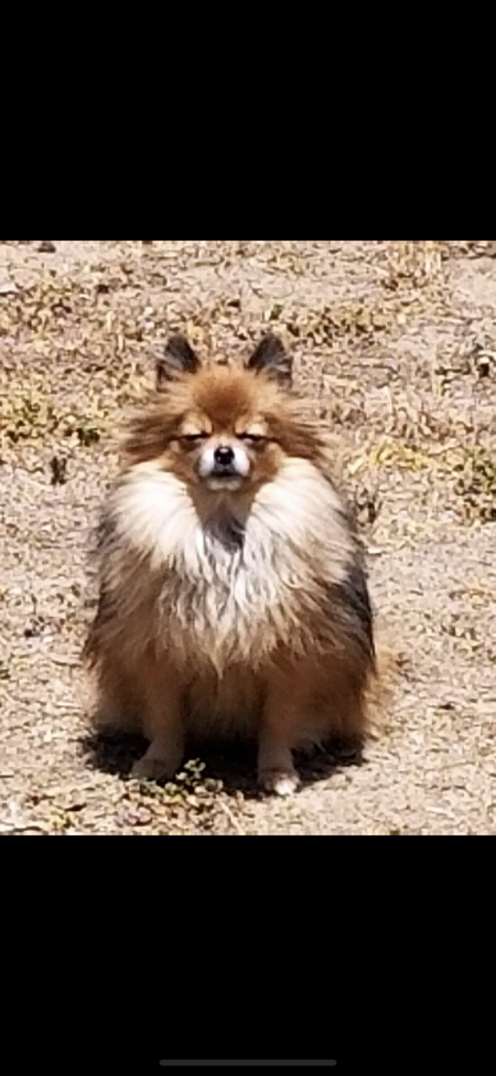 Nicky