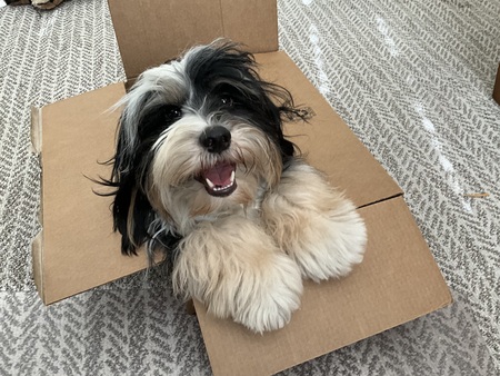 Oliver