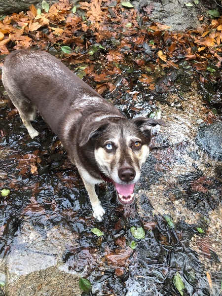 Lena