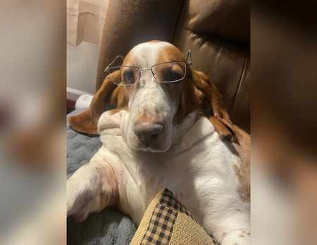 Bella