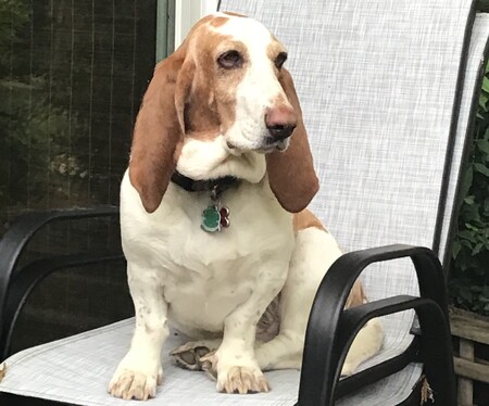 Josie