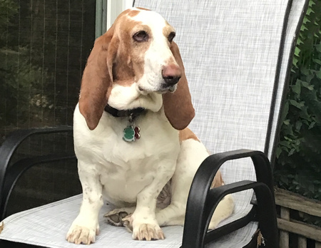 Josie