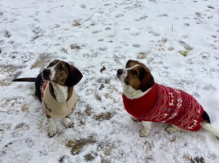 Ollie and Lacy