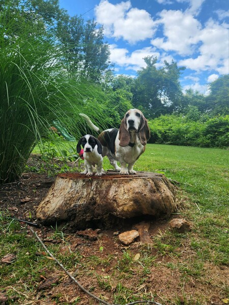 Buddy and Floyd