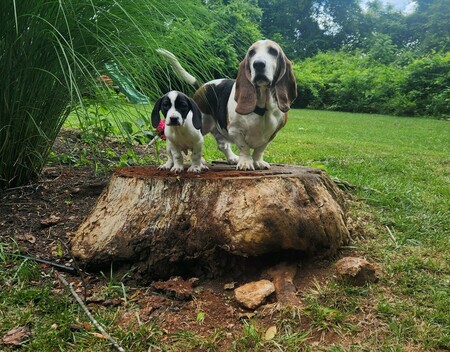 Buddy and Floyd