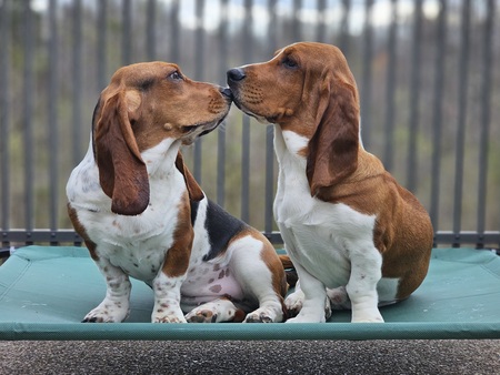 Jasmine Belle & Shiloh Mater