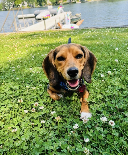 Penny 