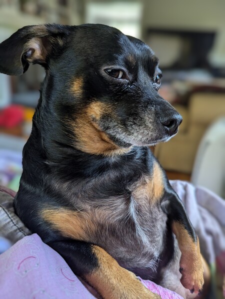 Zoey