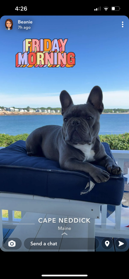 Bubba