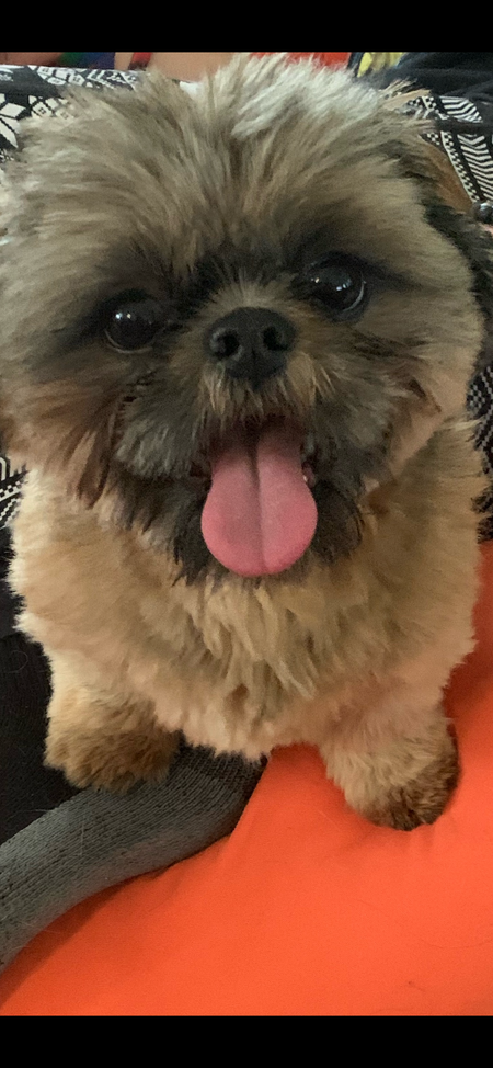 Layla