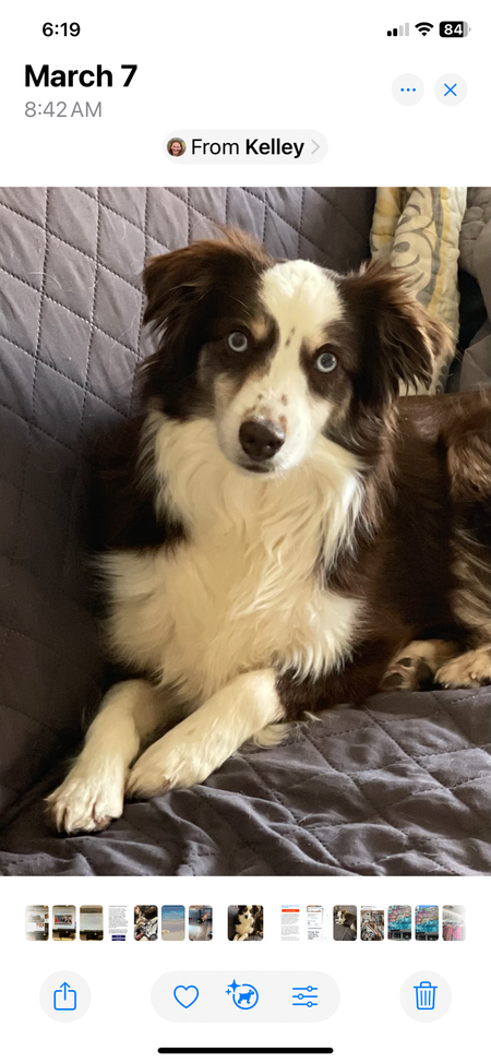 Kali