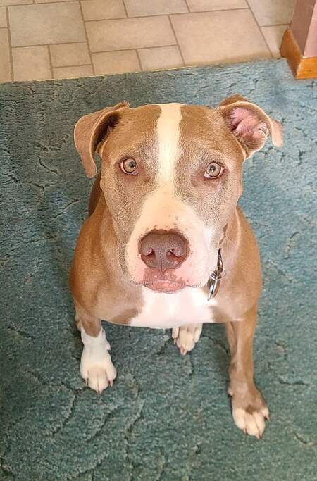 Athena