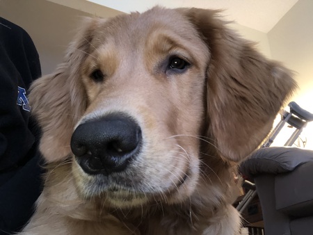 Charlie 