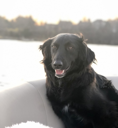 Mika