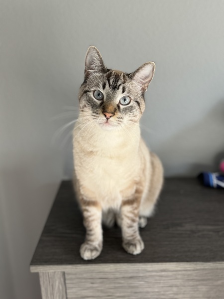 Gary