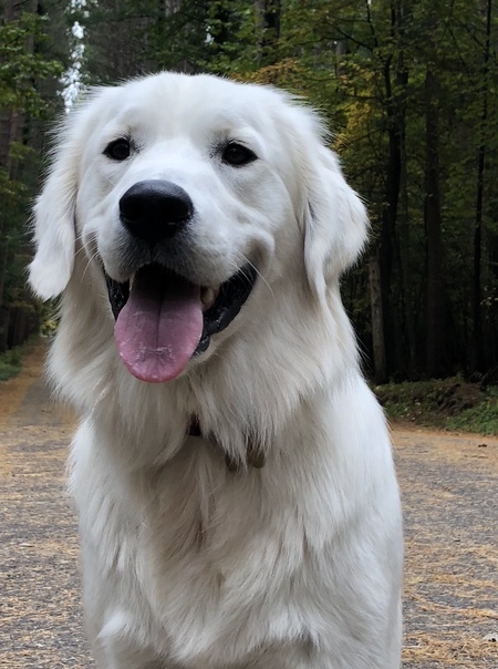 Oakley