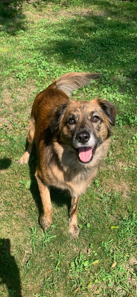Josie