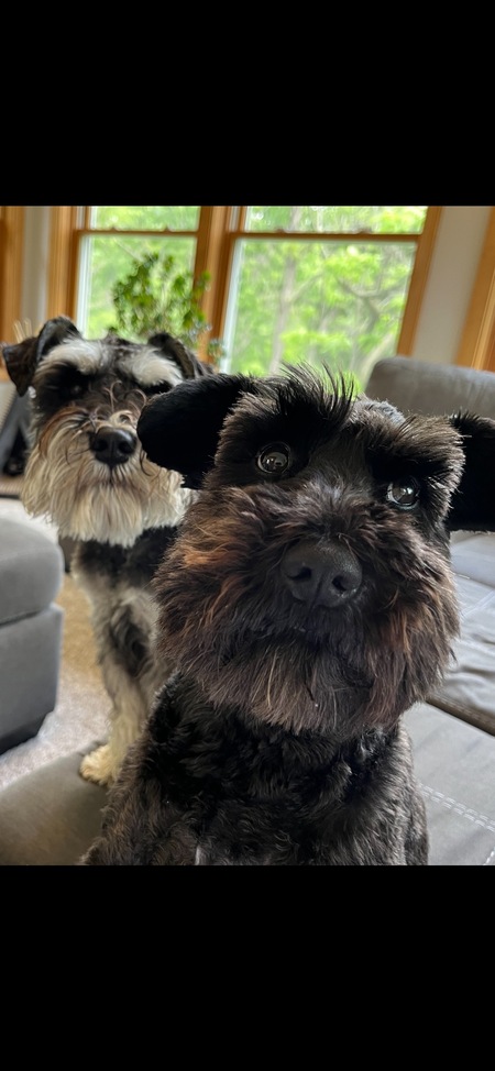 Björn & Odie