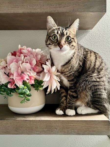 Coco