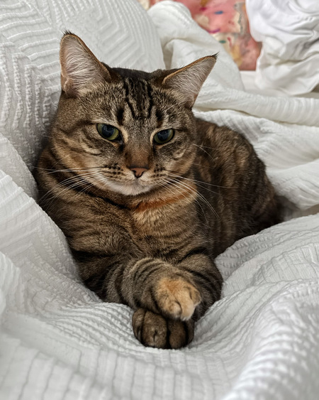 Sophie
