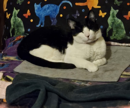 OREO
