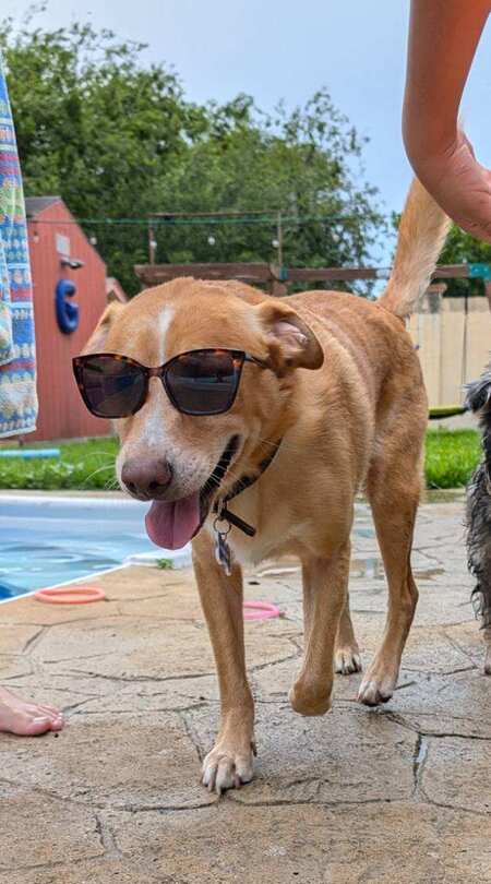 Marley