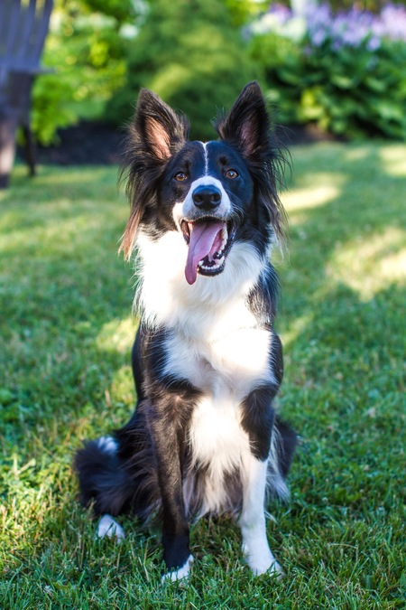 Benson