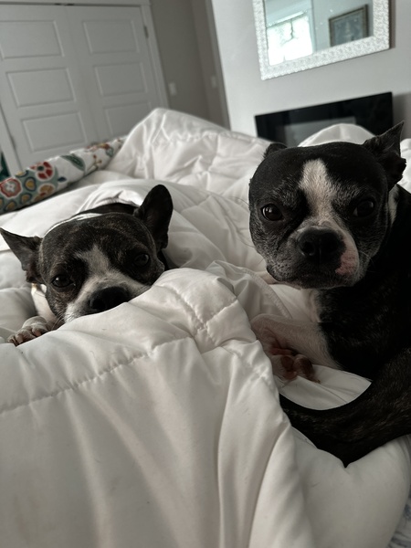 Gypsy and Lettie 