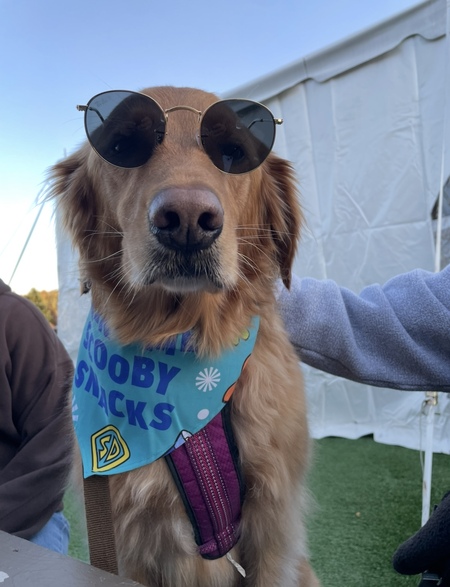 Oakley