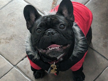 Duke 