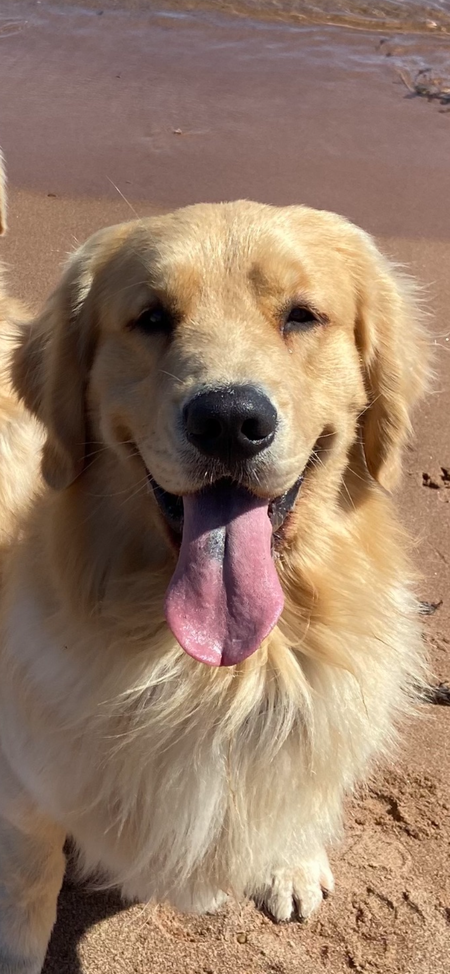 Ben