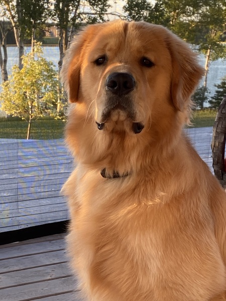 Theo
